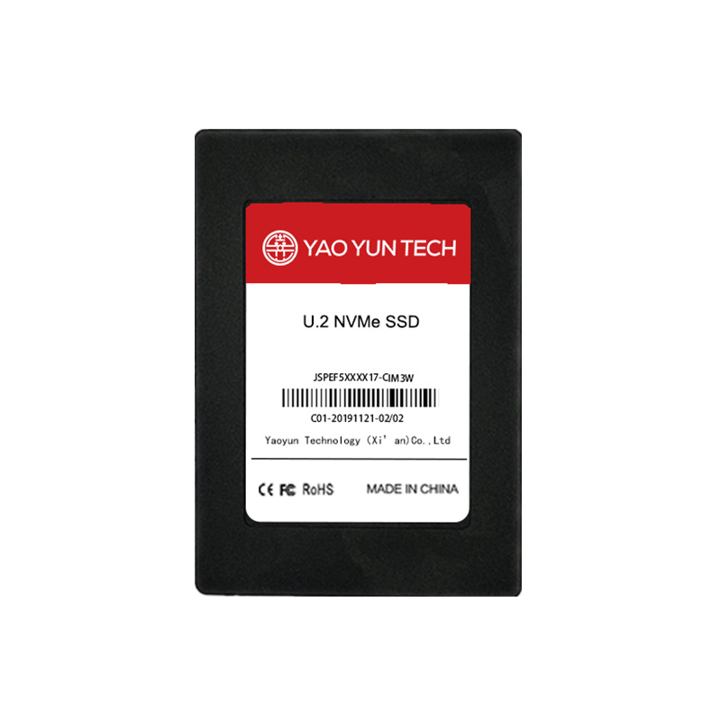 U.2 NVMe SSD